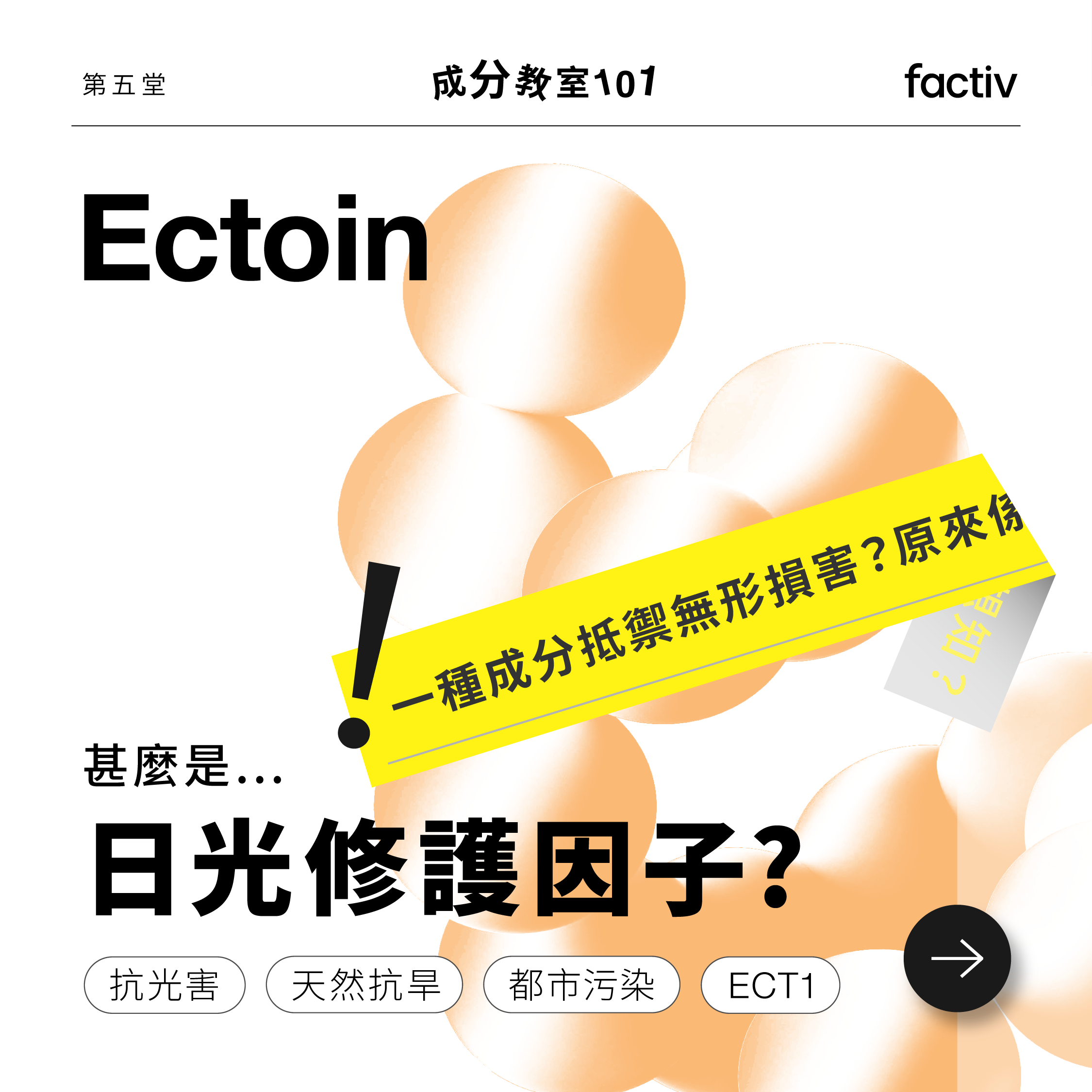 甚麽是Ectoin?